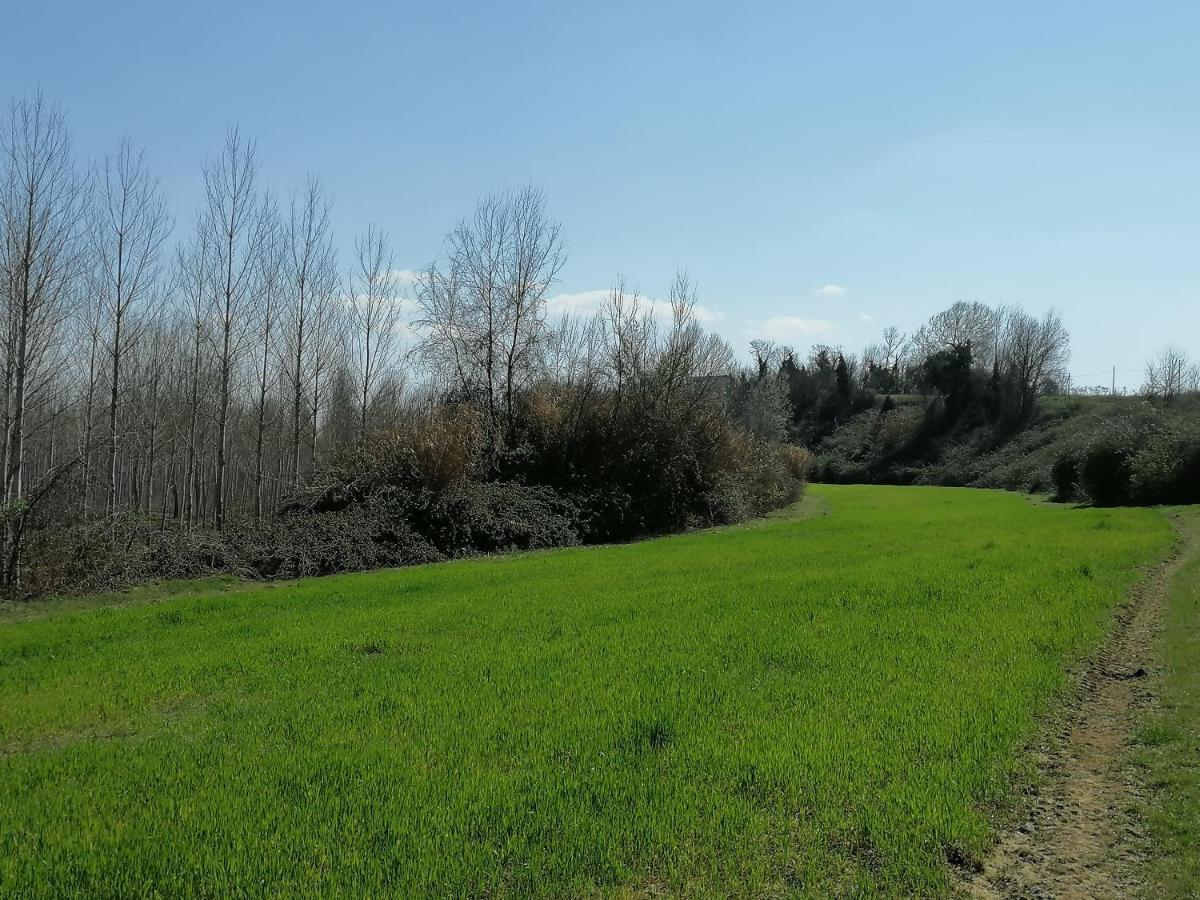 Apartamento Az.Agricola Agriturismo La Locanda Di Lann Fucecchio Exterior foto
