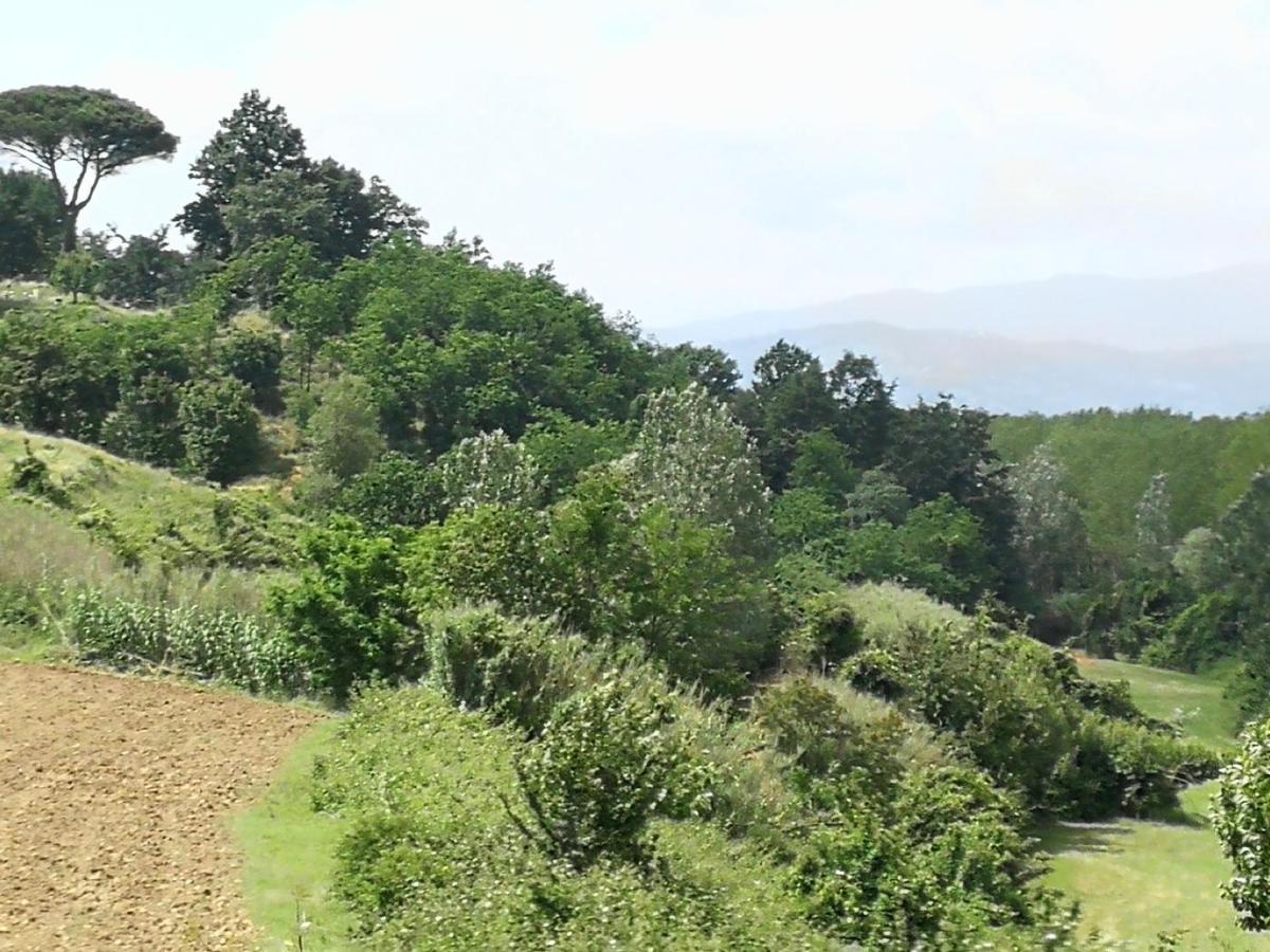 Apartamento Az.Agricola Agriturismo La Locanda Di Lann Fucecchio Exterior foto