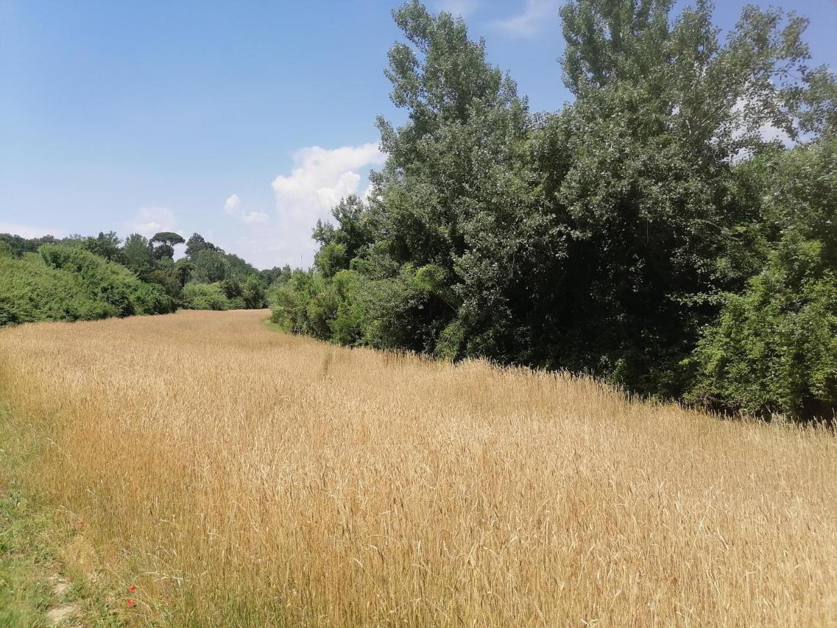 Apartamento Az.Agricola Agriturismo La Locanda Di Lann Fucecchio Exterior foto