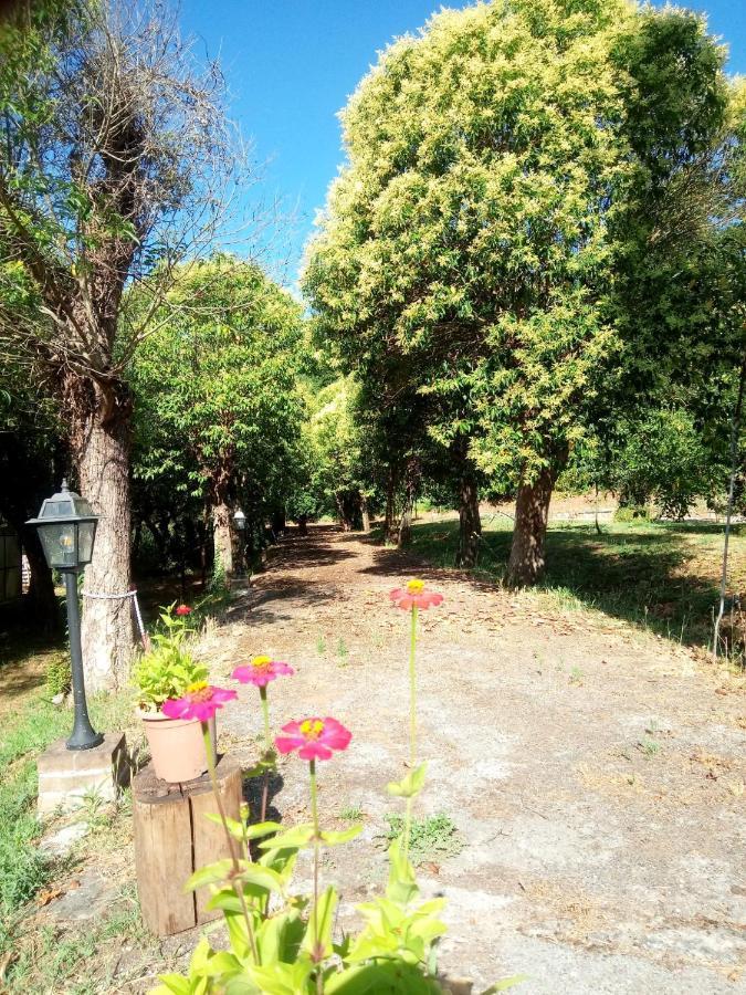 Apartamento Az.Agricola Agriturismo La Locanda Di Lann Fucecchio Exterior foto