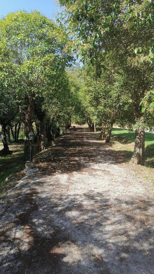 Apartamento Az.Agricola Agriturismo La Locanda Di Lann Fucecchio Exterior foto