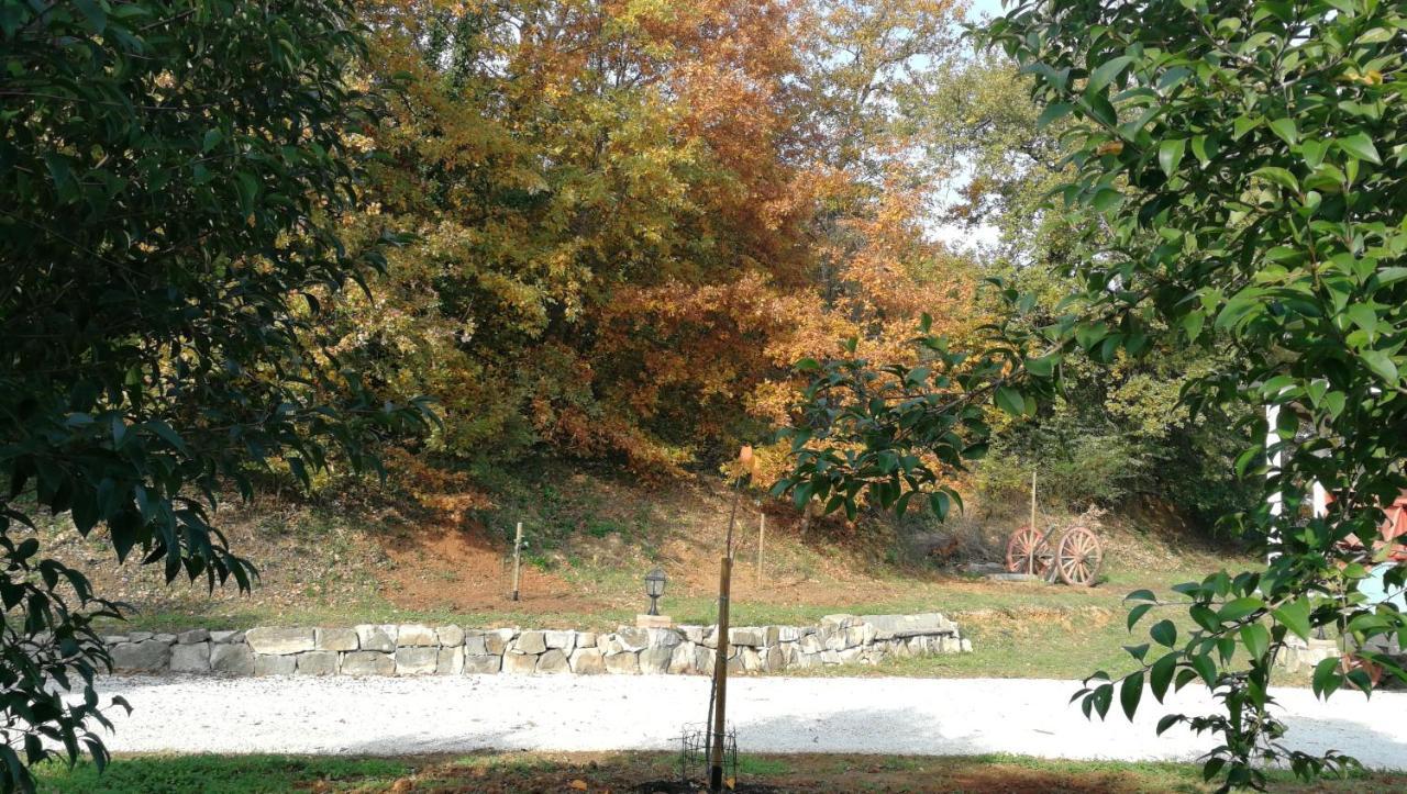 Apartamento Az.Agricola Agriturismo La Locanda Di Lann Fucecchio Exterior foto