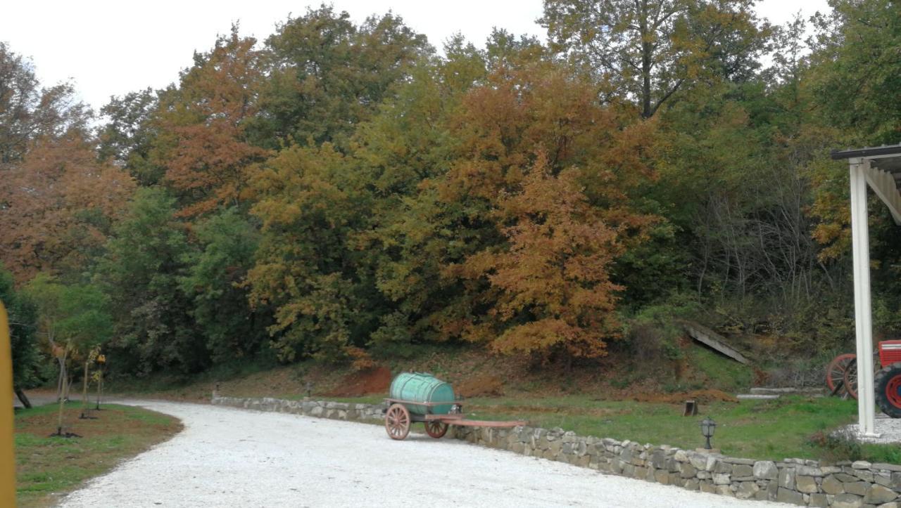 Apartamento Az.Agricola Agriturismo La Locanda Di Lann Fucecchio Exterior foto