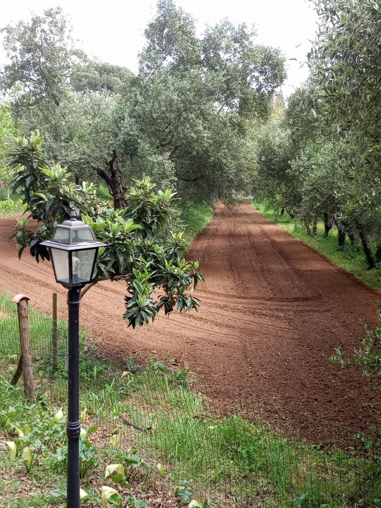 Apartamento Az.Agricola Agriturismo La Locanda Di Lann Fucecchio Exterior foto