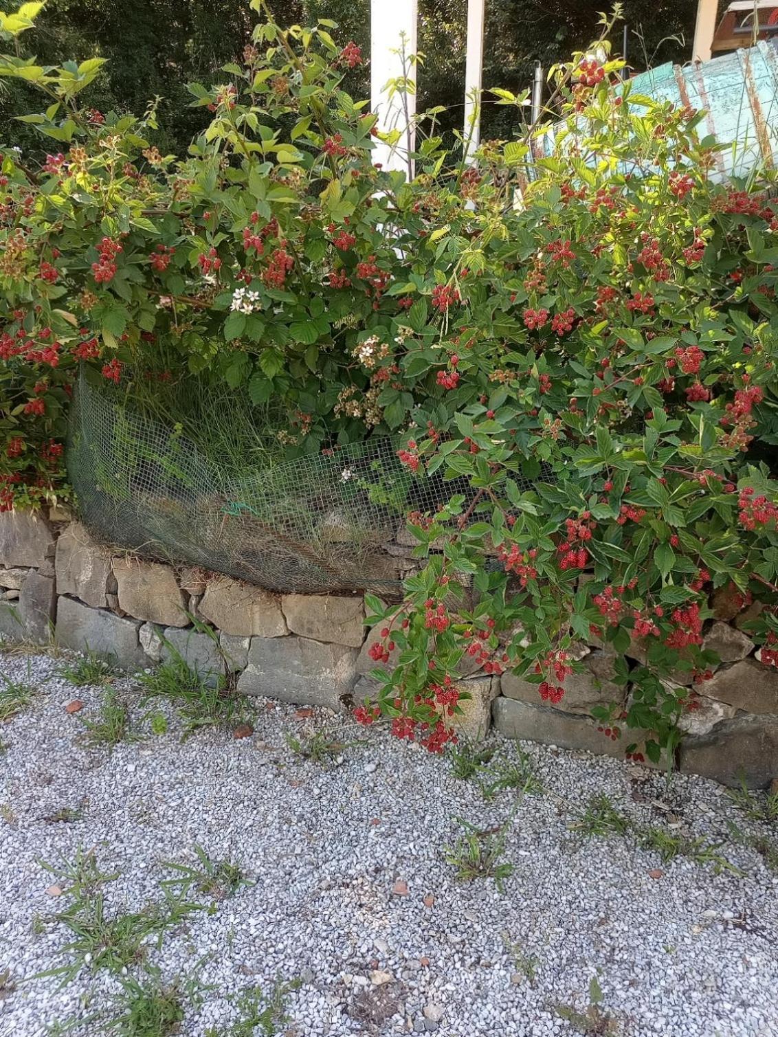 Apartamento Az.Agricola Agriturismo La Locanda Di Lann Fucecchio Exterior foto